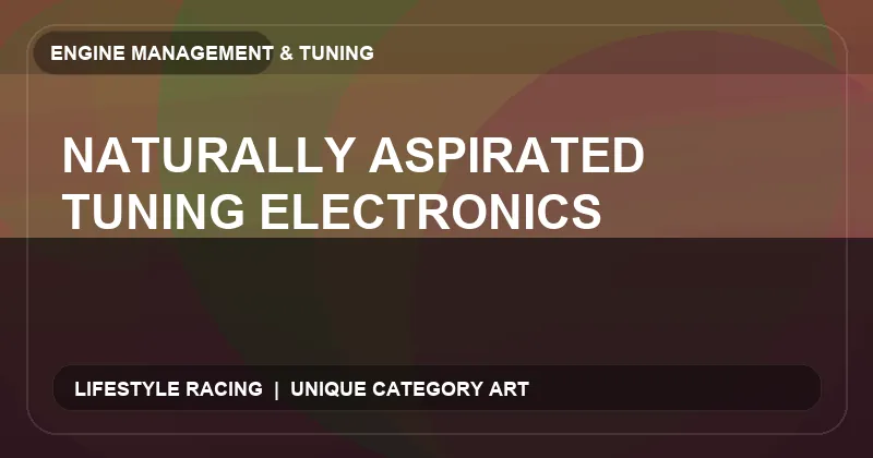Naturally Aspirated Tuning Electronics